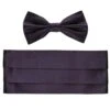 Silk Ceremony Cummerbund Set