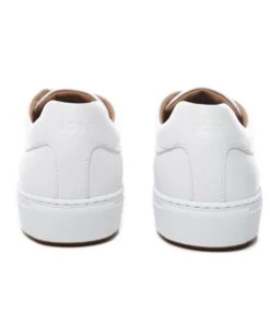 Boss Leather Mirage_Tenn_Bu Trainers 11 Boss Leather Mirage_Tenn_Bu Trainers -Menswear Specialty Store UMEjgwMPfLT8TKwD0w4zNp9hGLzNEUfq7DF53XFs