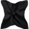 Silk Twill Pocket Square 1 Silk Twill Pocket Square -Menswear Specialty Store YmgEedN8j4nsP6RQX1VavN9zzRmCS8KcYa3M4IZh