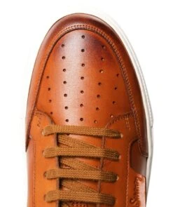 Edwalton Trainers -Menswear Specialty Store eKjaNgb8Mp4thRPBybMg0vpFrA8hdtSQgIApBx4W